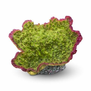 AQUATOP Green & Purple Montipora Coral Decor - Lifelike Reef Aquarium Ornament, CD-04GRM